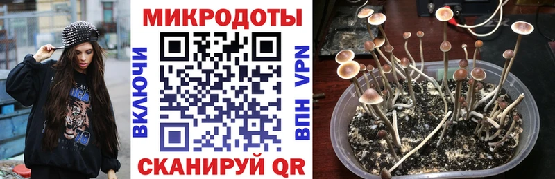 купить закладку  Красногорск  Псилоцибиновые грибы мицелий 